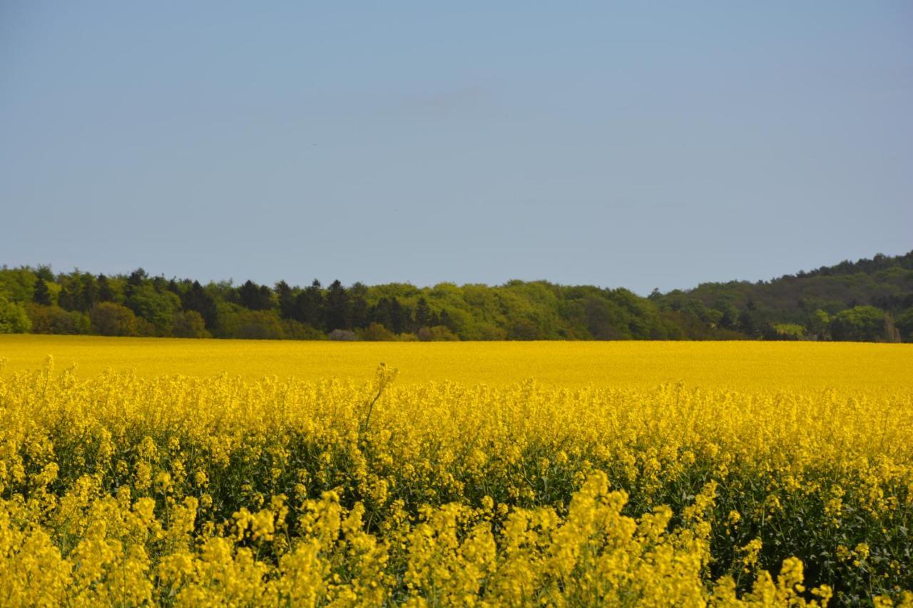 Reethaeuser Auf Ruegen Middelhagen Extérieur photo